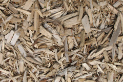 biomass boilers Stoke Dry